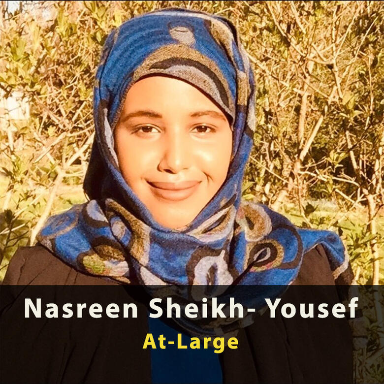 Nasreen Sheikh-Yousef